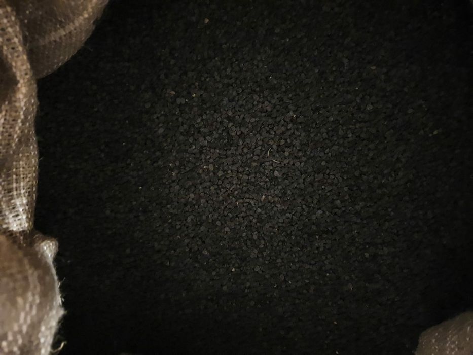 Семена Лука сорт "Табыс"