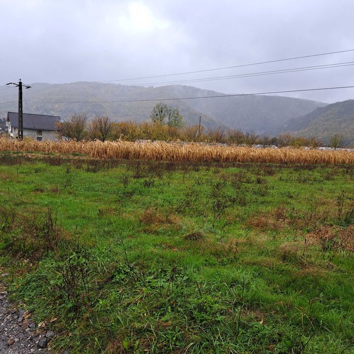 Vând teren Șuncuiuș