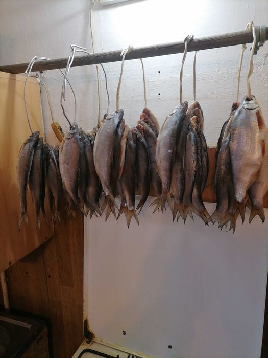 Продам сушёную рыбу ребец