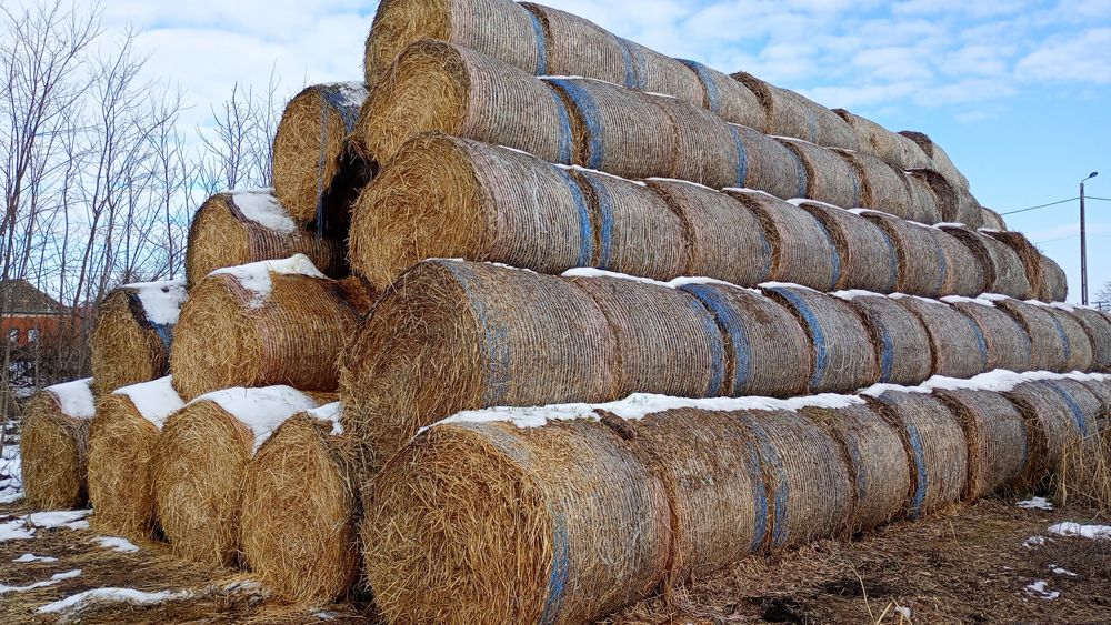 Vând sau schimb baloți de paie grau ovăs și orz amestec