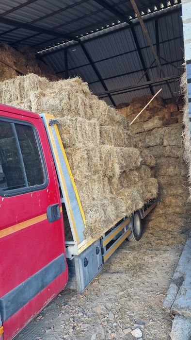 Baloti fân,  fân cu lucernă , ovăz