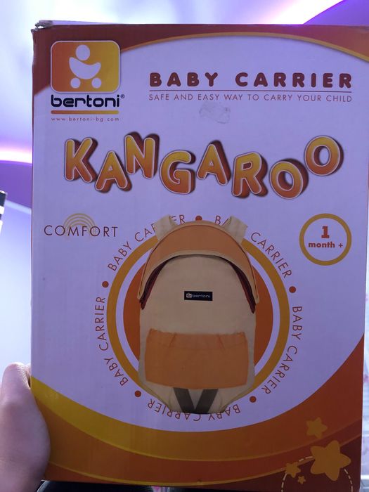 Кенгуру  bertoni