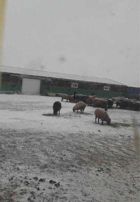 Крестьянское хозяйство