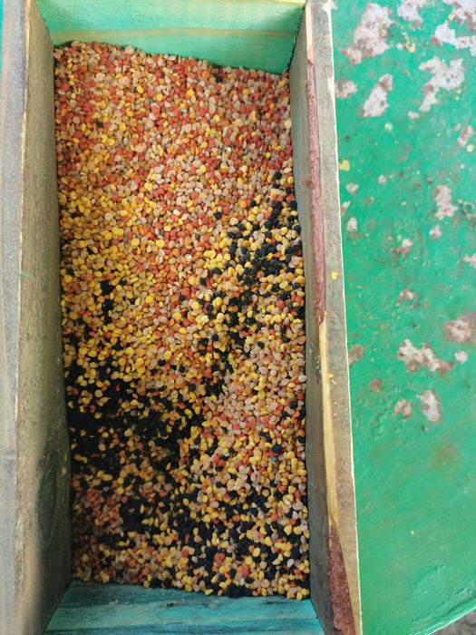 Polen poliflor de vânzare