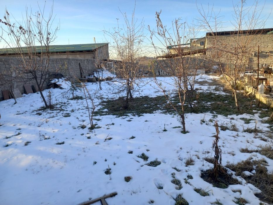 Дакумент хамаси жойида