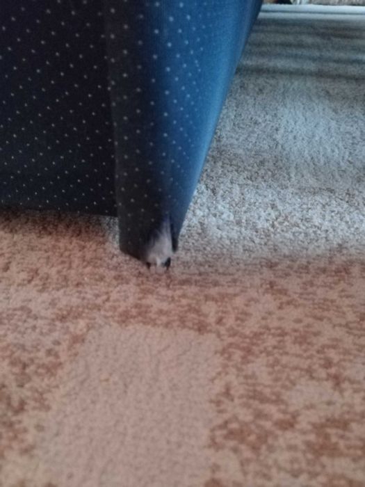 Диван за всекидневна