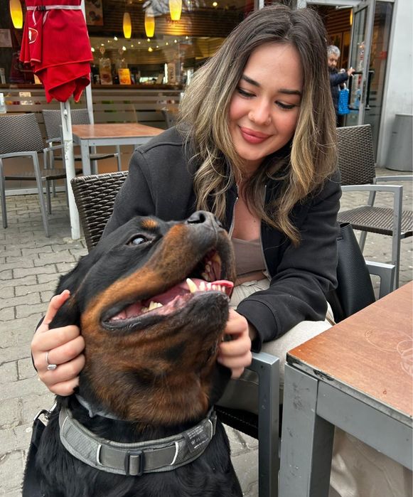 Pet Sitting/Dog Boarding