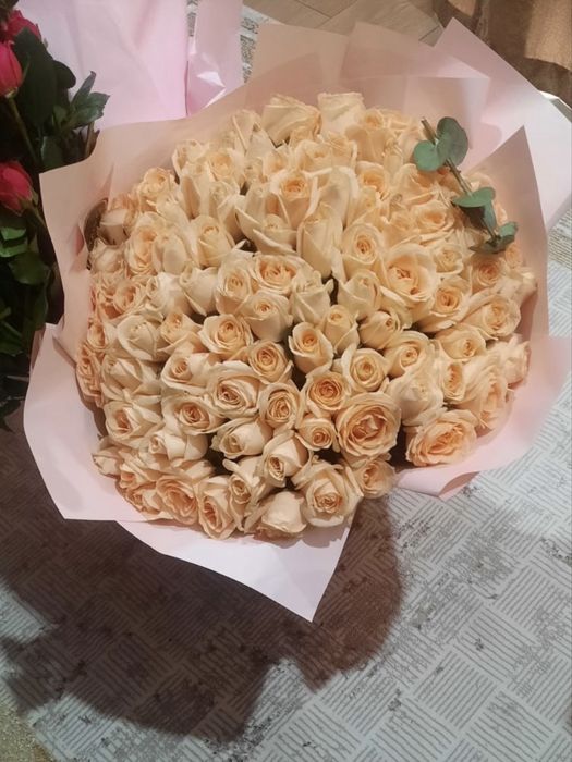 Продам цветы недорого срочно