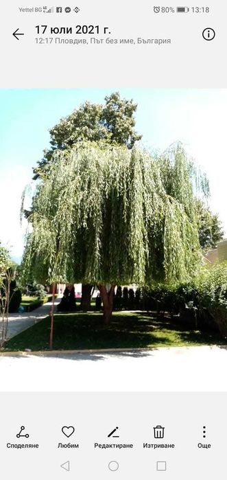 Озеленяване поддръжка