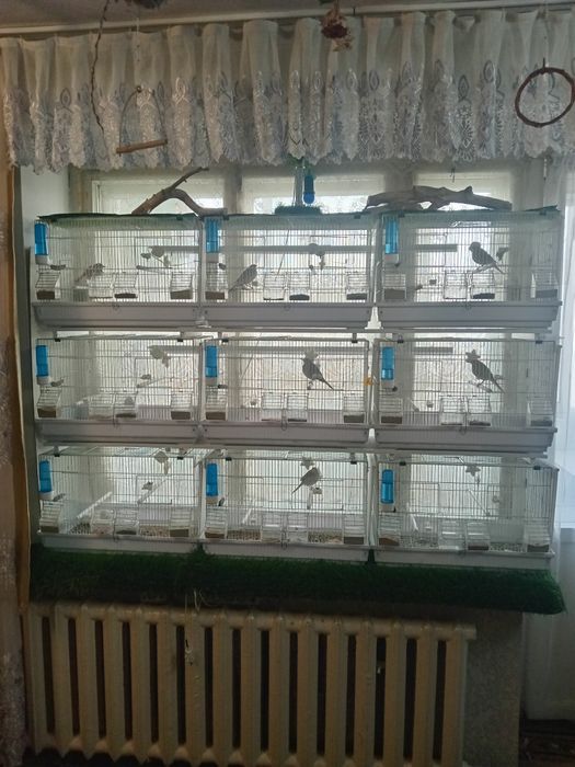 Клетка для декоративных птиц.