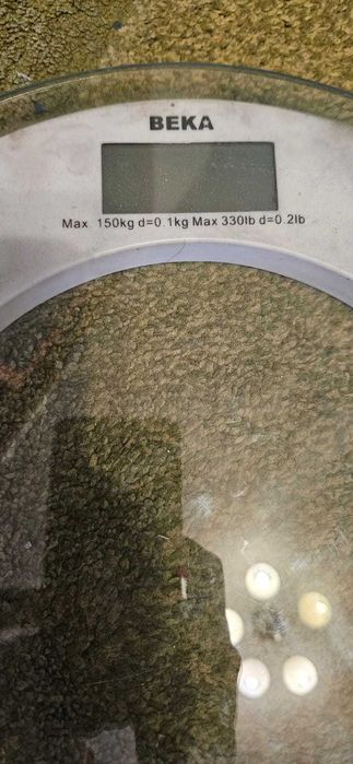 весы электронные