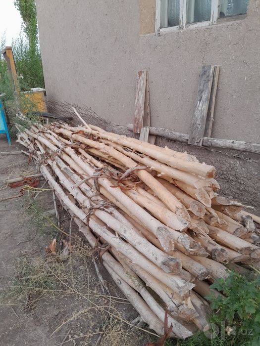 Qada satiladi! shtugi 5 min' sum