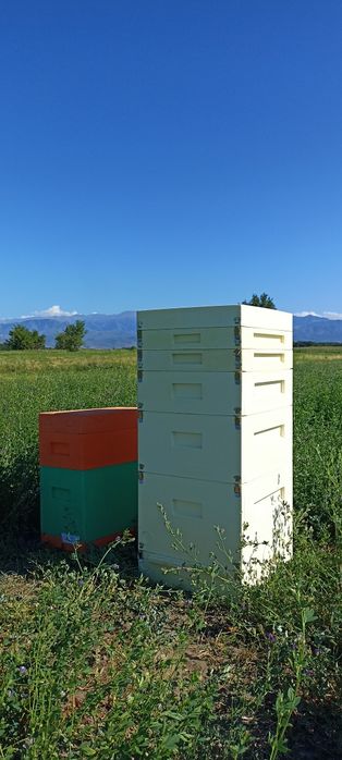 Улья для пчёл 6,8,10,14 рамочные ппу