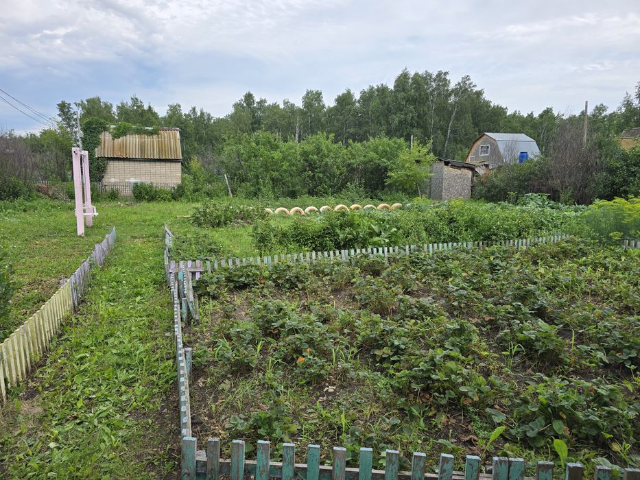 Продам дачу в районе Новопавловки