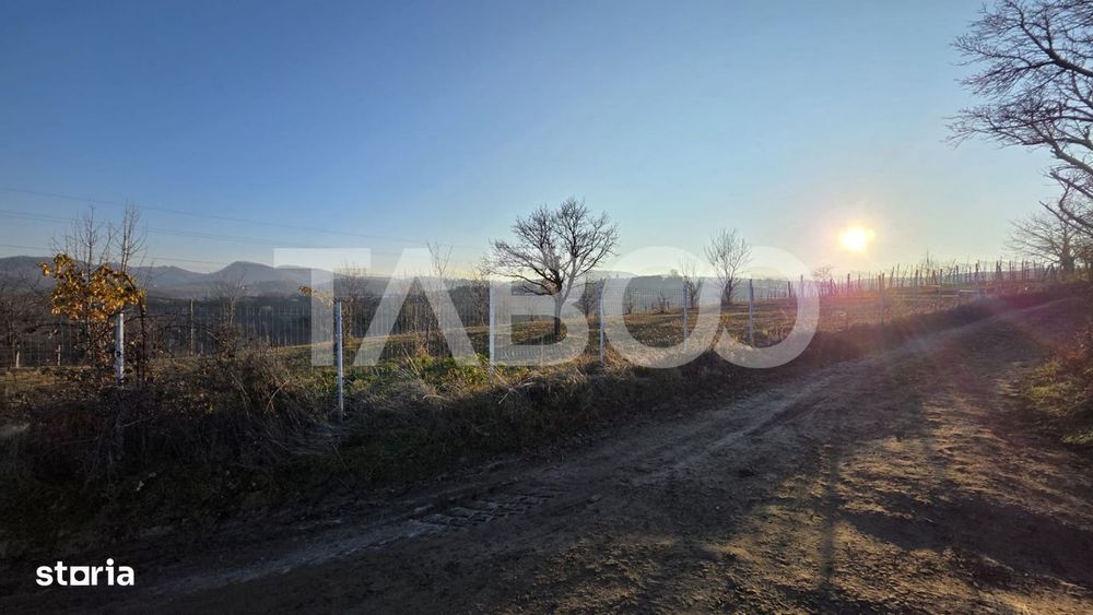 Teren 1974 mp intravilan de vanzare in Loman judetul Alba