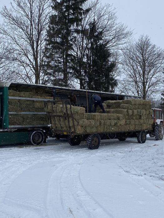 Vând baloti de fân