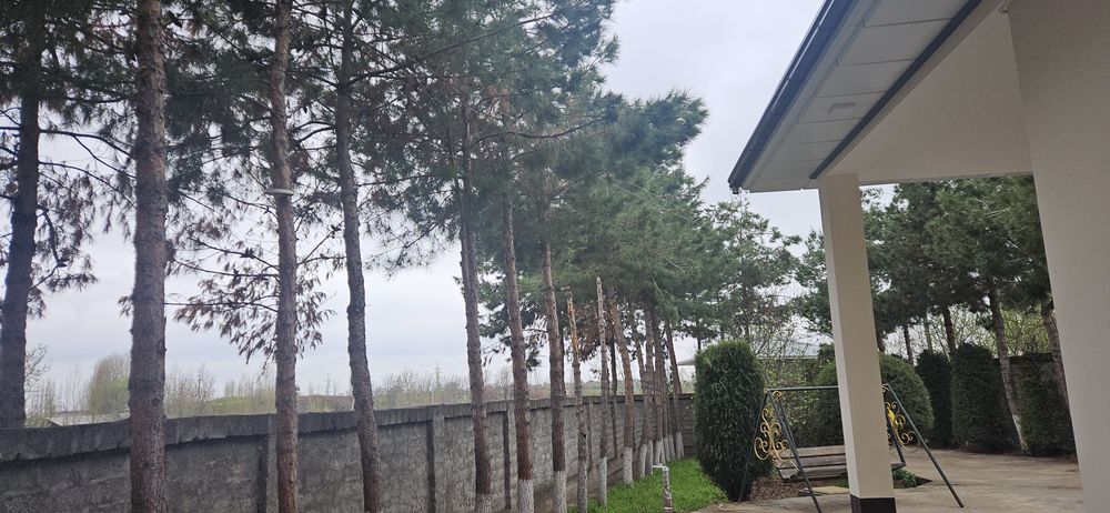 Катта сувни буйида дала ховли ва мини ферма сотилади.