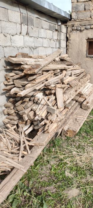 Отын агаш бар қабы 1000 теңге