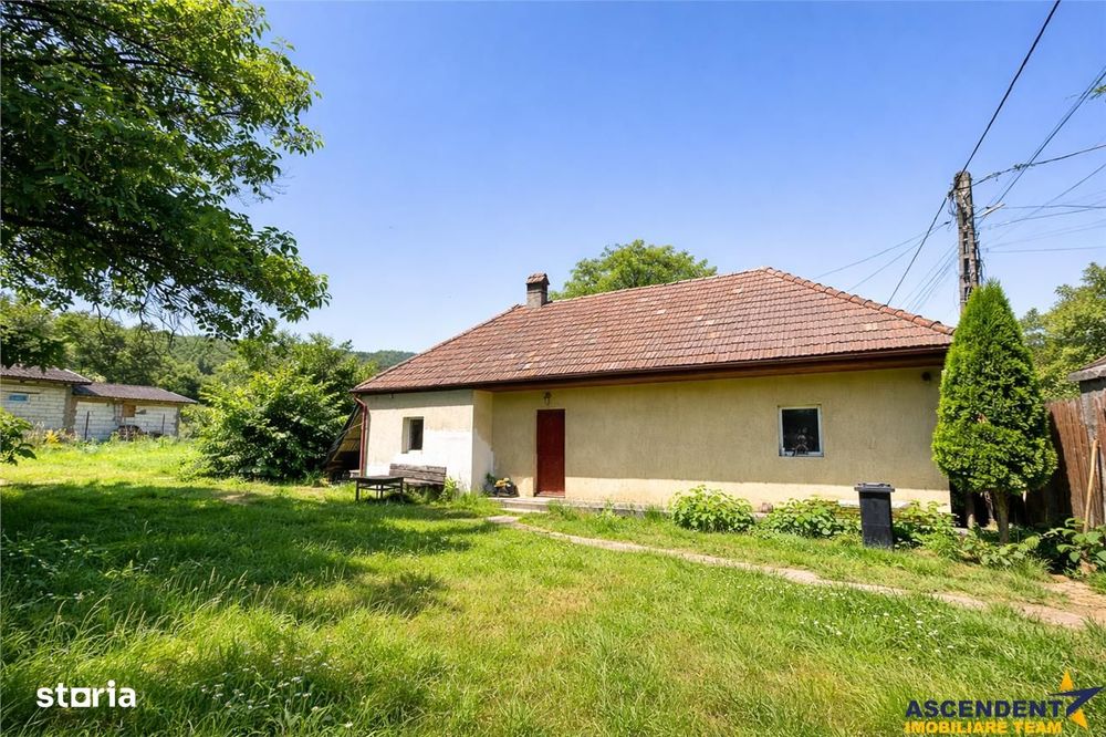 FILM &Tur 3D! Casa cu gradina, pomi fructiferi, fantana, Zagon, Covasn