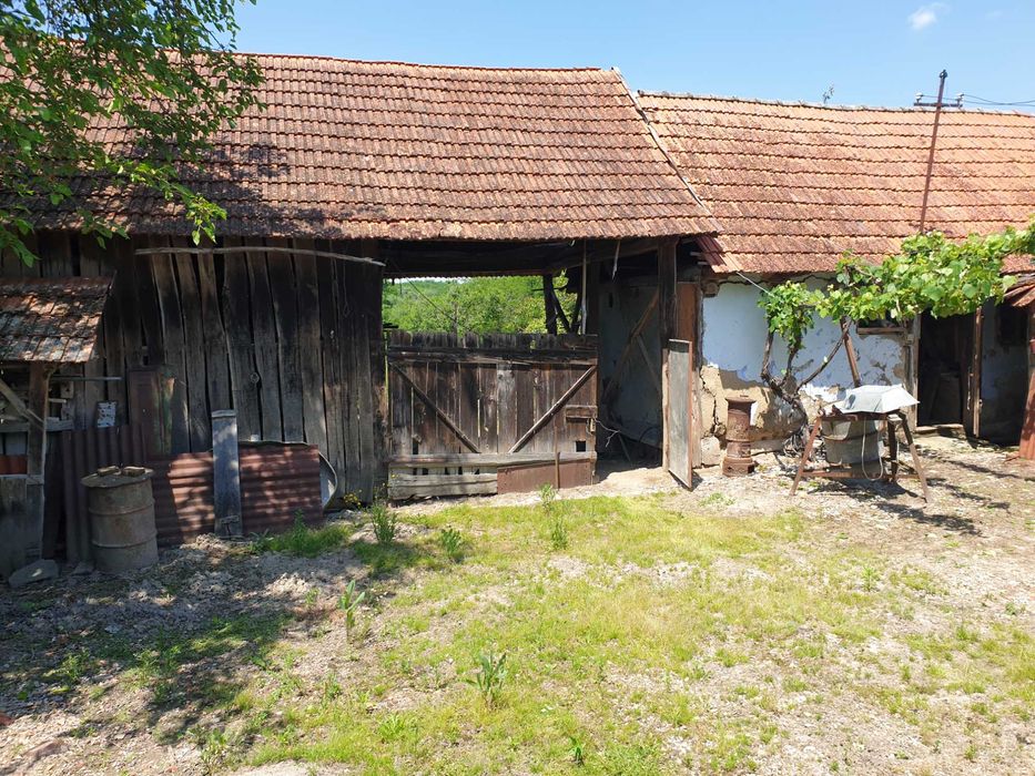 Casă cu grădină de vânzare