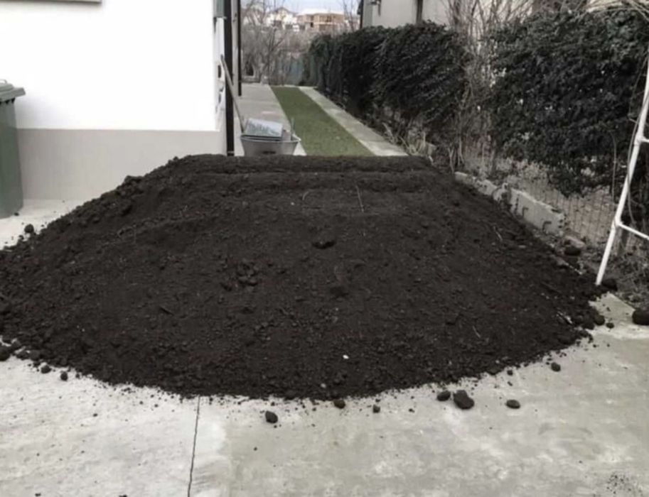 Pamant vegetal padure