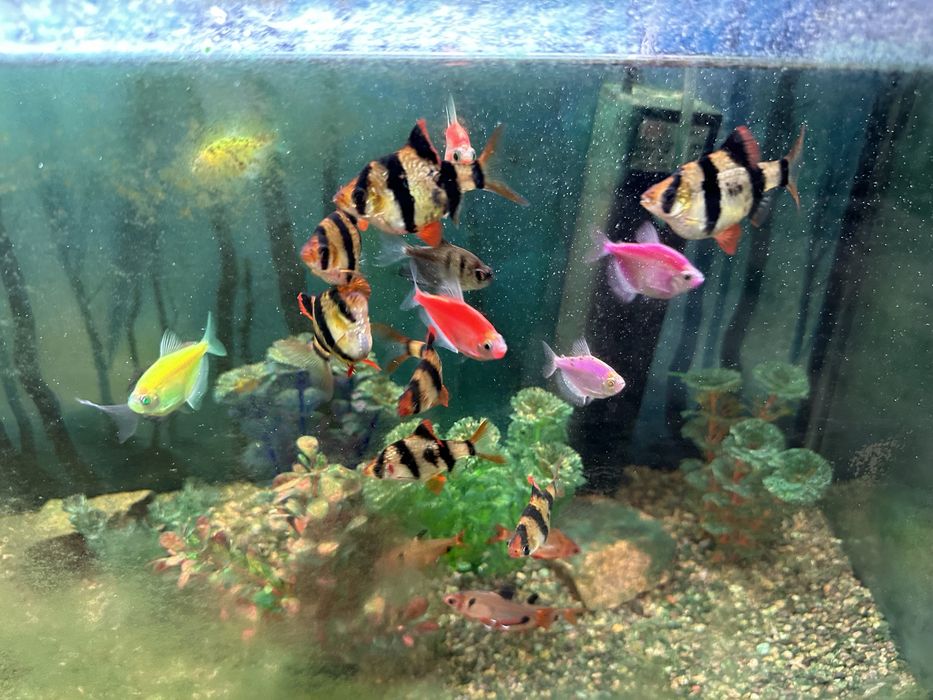 Аквариум 70литров