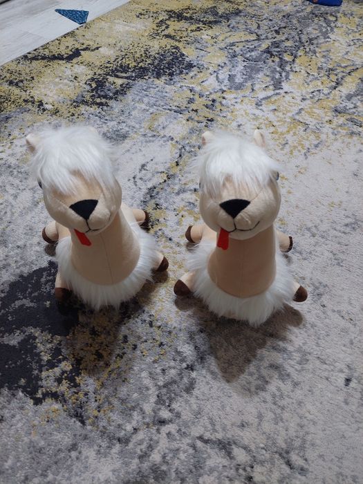 Papuci de casa, animalute, noi