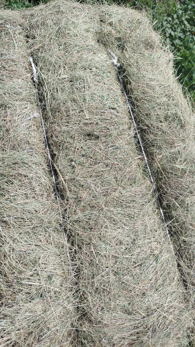 Продам сено в квадратных тюках