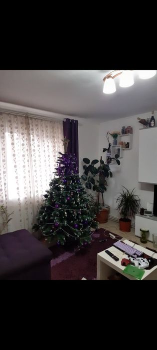 apartamente de vanzare satu-mare