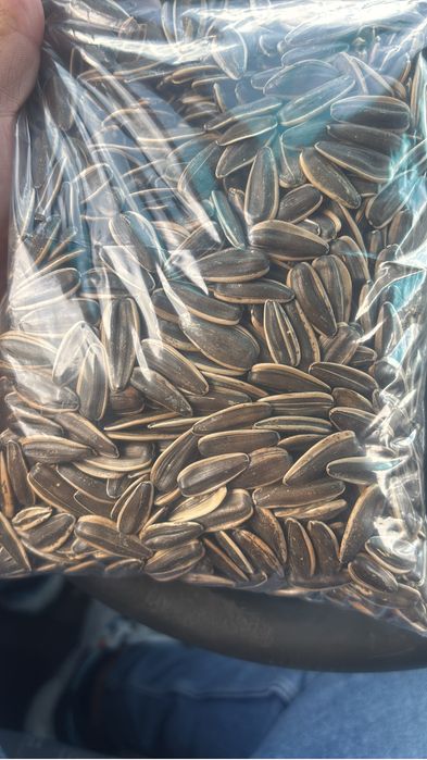 Vand seminte de floarea soarelui