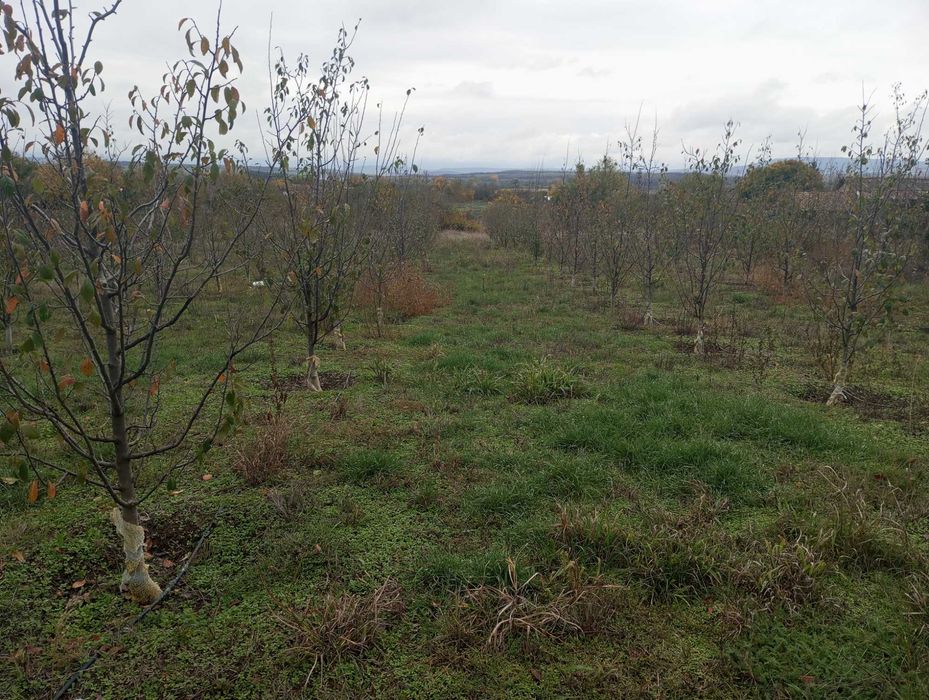 Продава се Земеделски имот в Горна Оряховица -  кв.м за 5100 €/дка - Снимка #1