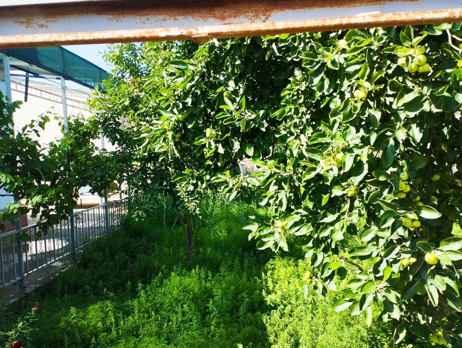 Коттедж 6соток.Лоша светофор