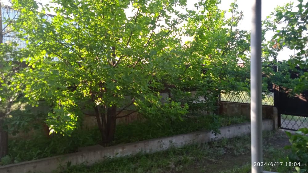 Продам большой дом