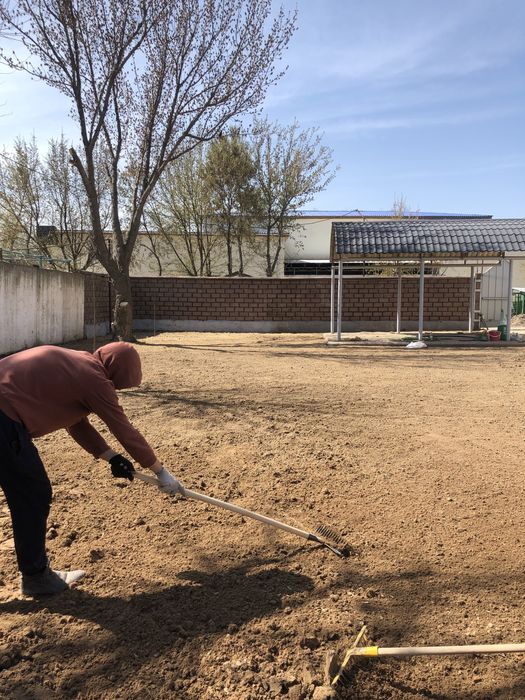 Газон Автополив