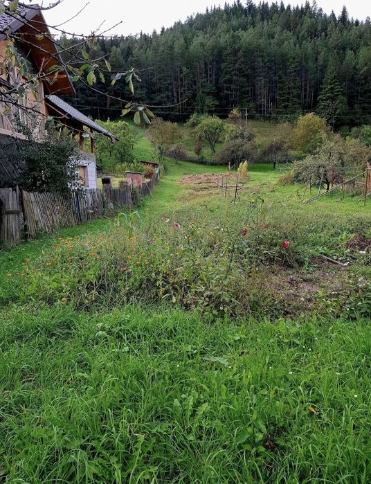 Teren intravilan 2000 mp la munte, Grinties, Neamt, langa Durau