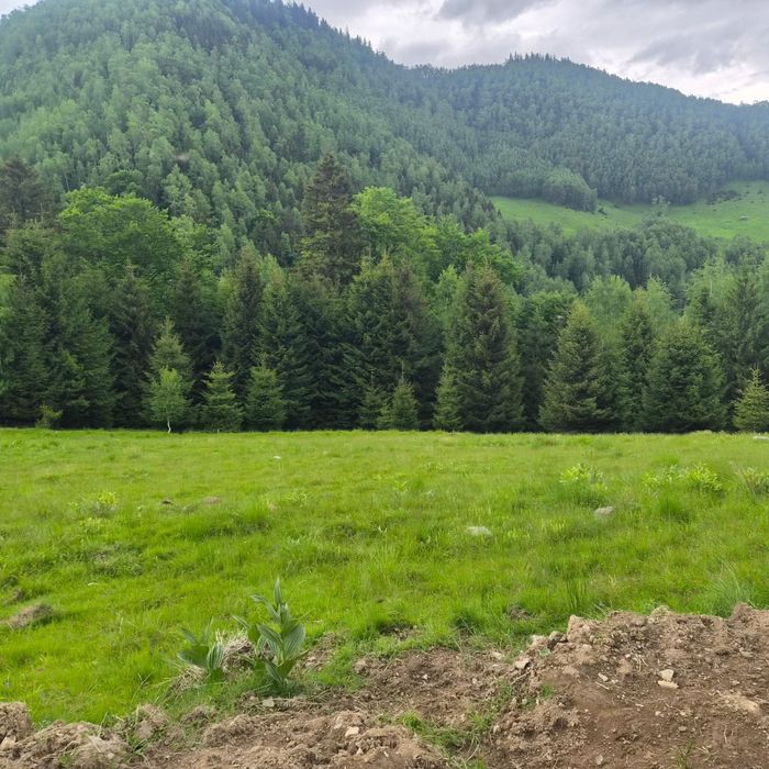 Teren de vanzare in Râusor
