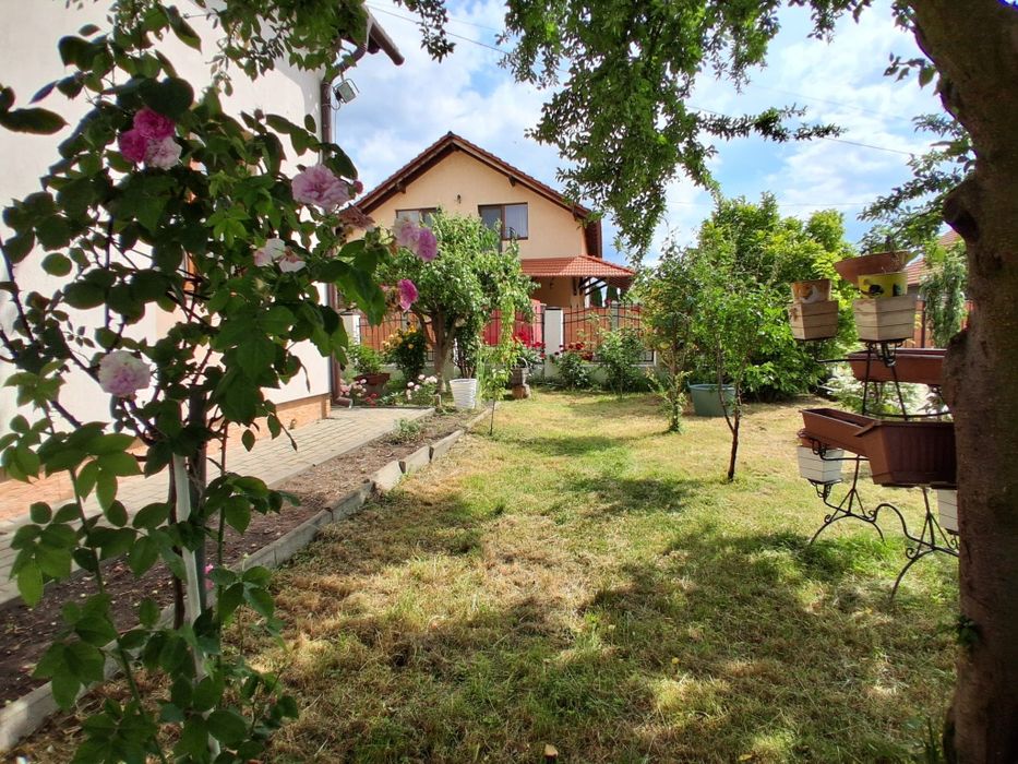 Casa de Vânzare Drumul Petrestiului