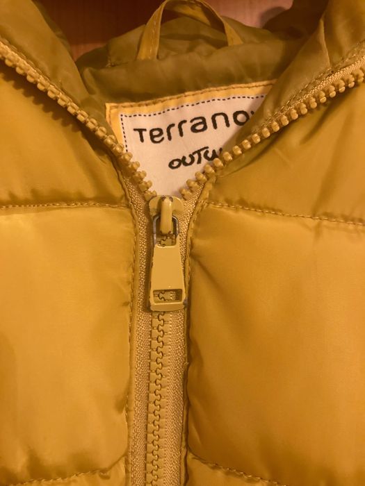 Vesta groasa Teranova