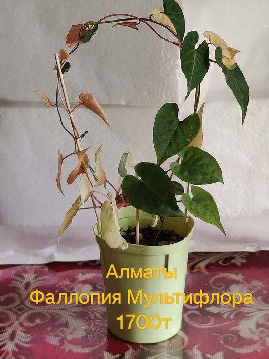 Продам Хобби для души