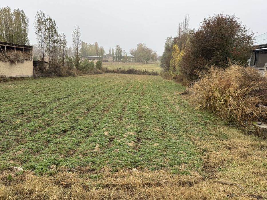 20 сотих сотилади.