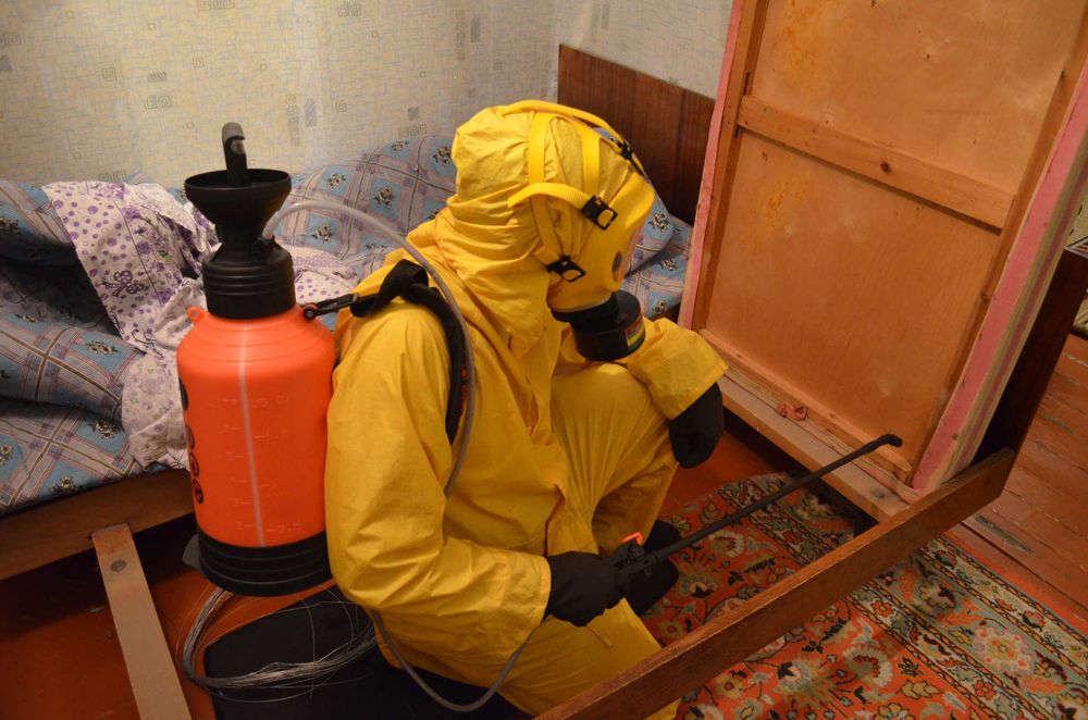 Клопы...за мной не надо переделовать   (опыт) Сергей