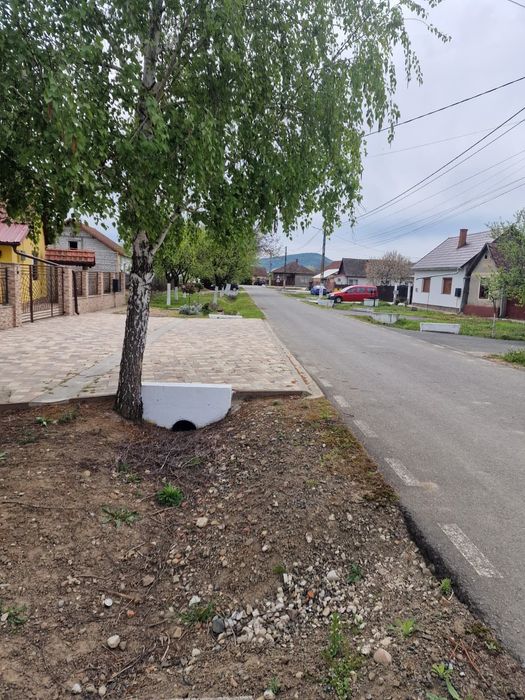 Teren intravilan
