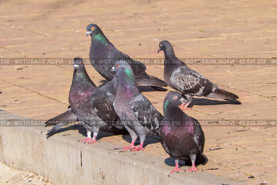 Бакинцы разные молодёжь