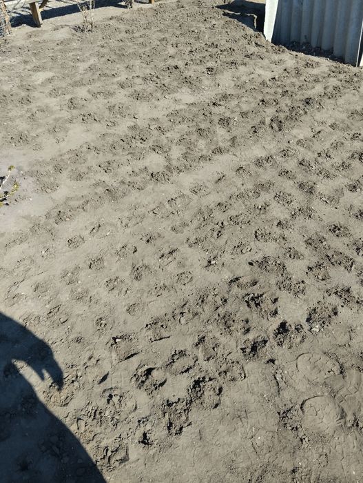 Услуги грузчиков