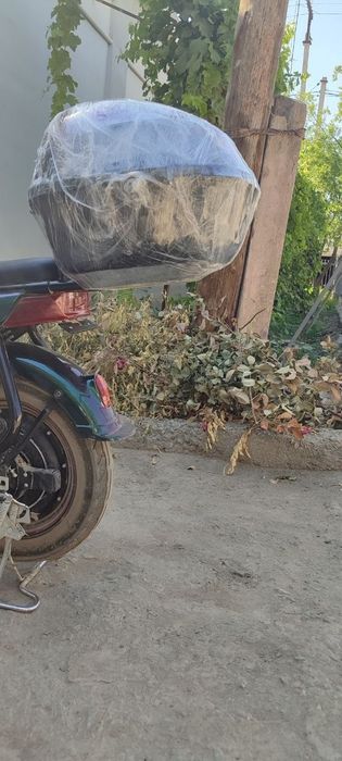 Scooter 14 chontak model revion