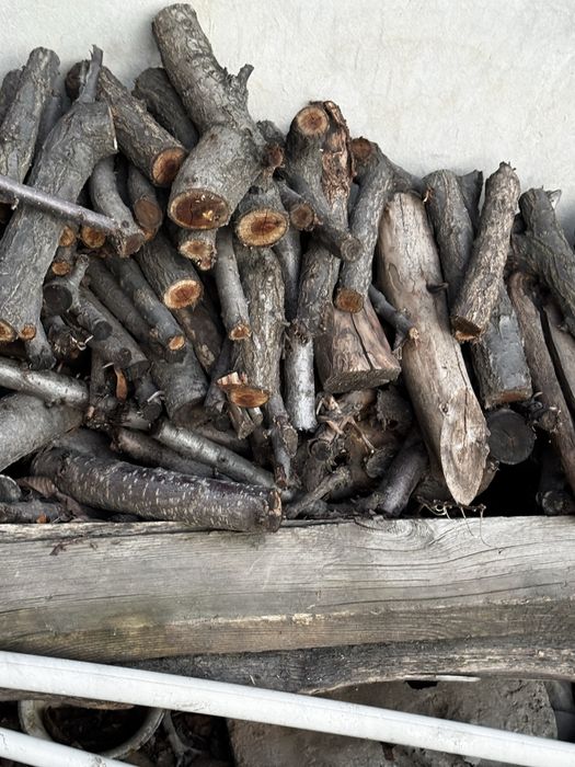 Продам дрова от фруктовых деревьев