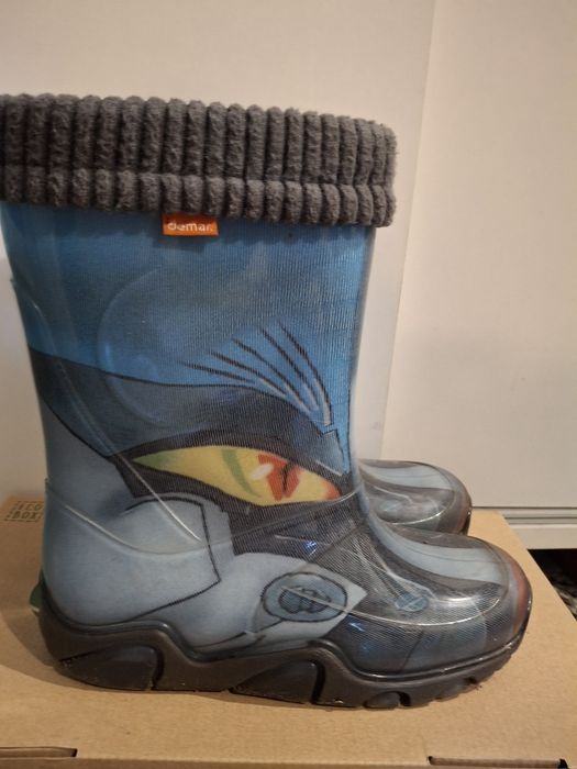 Ботуши за дъжд, боти