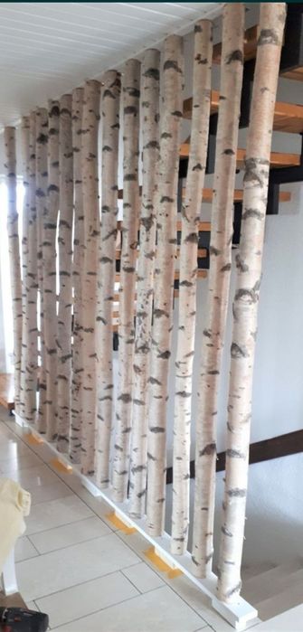 Mesteacan pentru pereti despartitori/ Paravane mesteacan alb / Tulpini