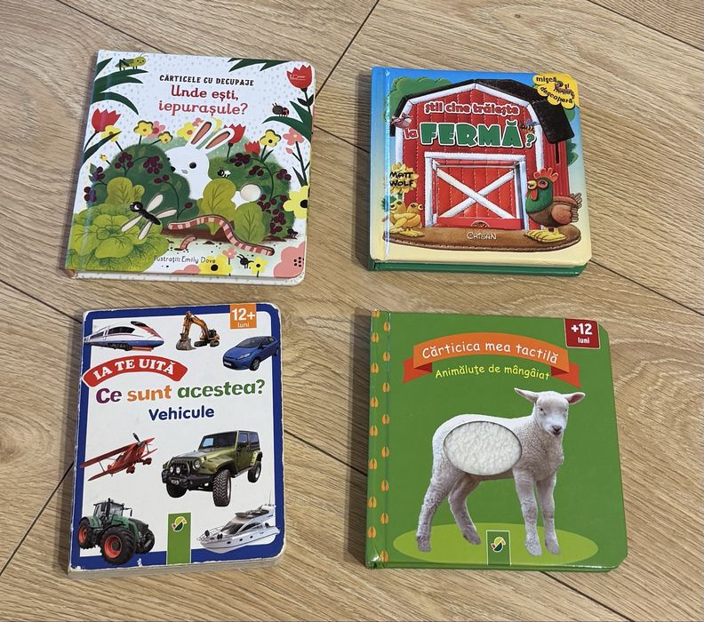 Lot carti senzoriale 12 luni, 18 luni