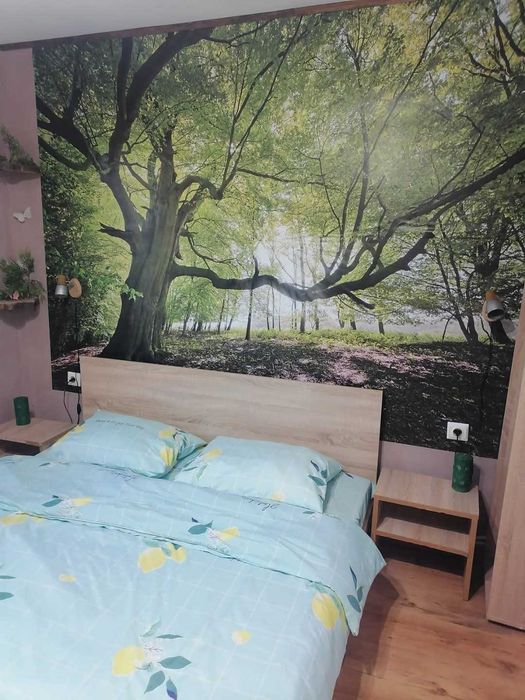 Продава се Къща в с. Бели Осъм, Област Ловеч - 160 кв.м за 938 €/кв.м - Снимка #3